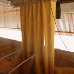 Closeup of soybean poured from a warehouse into a truck ready for export from Brazil. Soybean production is one of the biggest causes of deforestation of the Amazon rainforest.